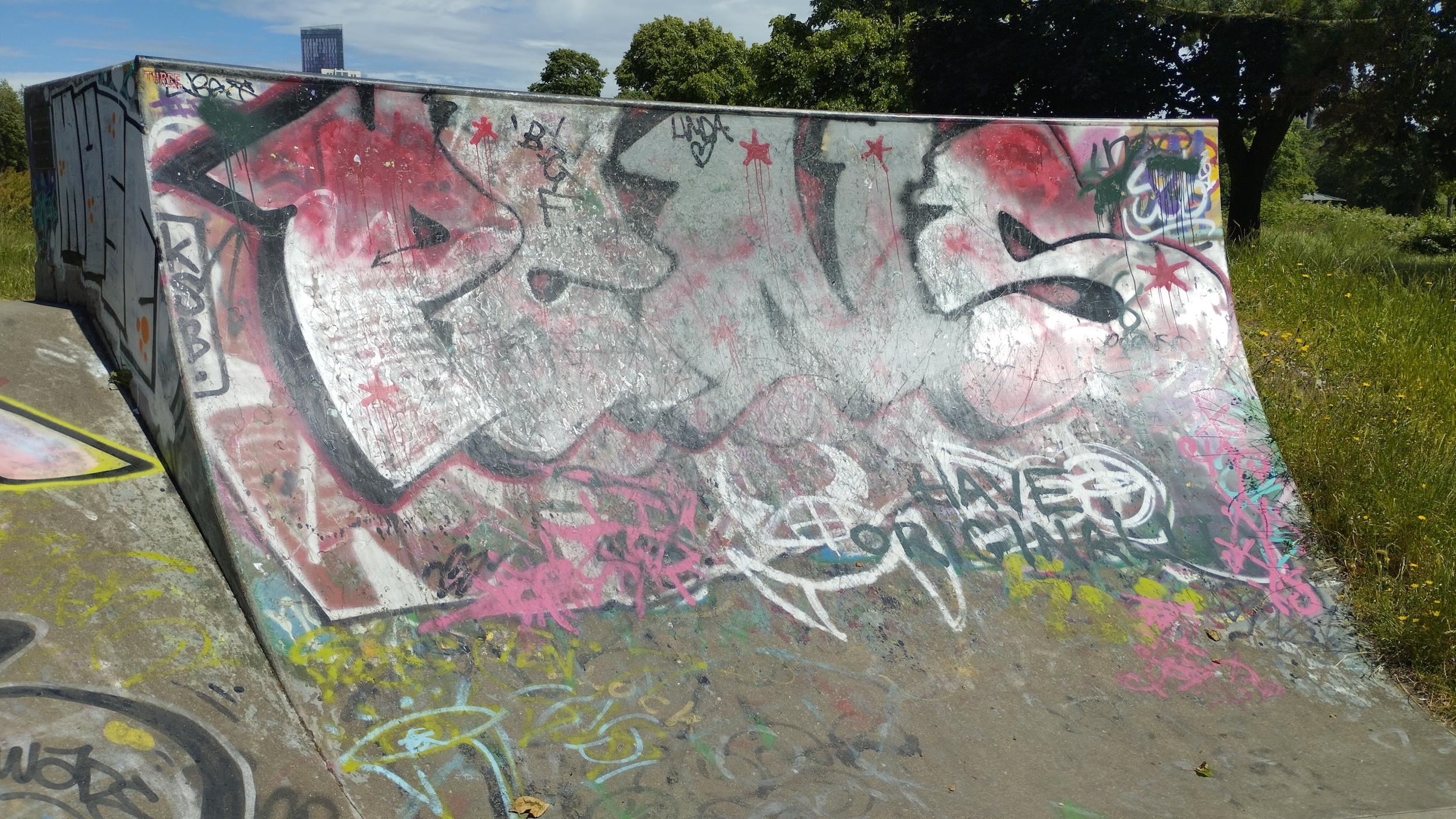 Wandle skatepark